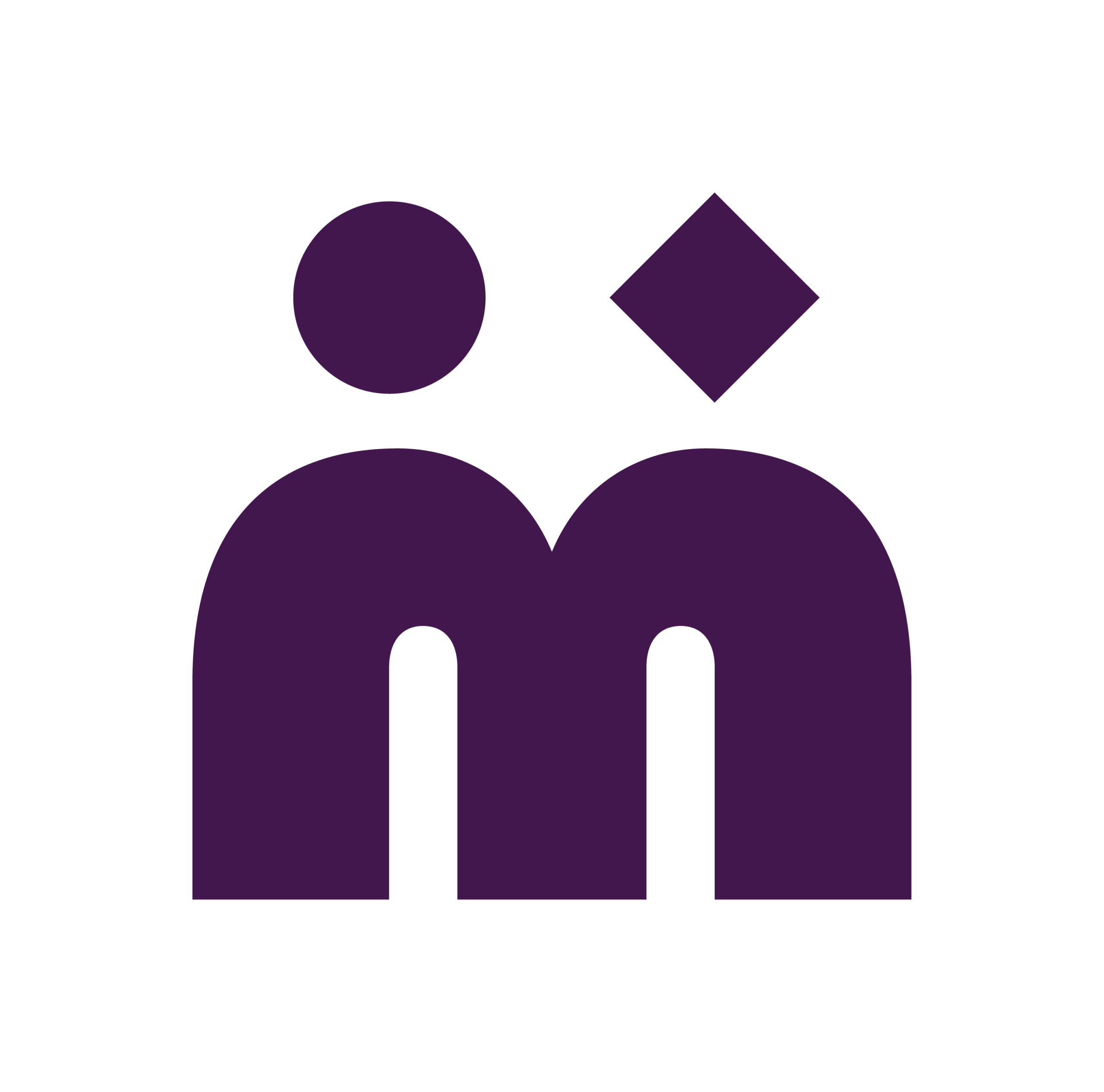 Mirror Mirror Verification Icon
